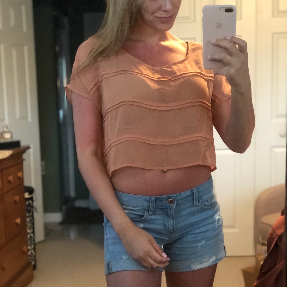 Rusty Sheer Crop Top